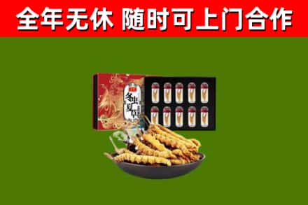 扬州烟酒回收冬虫夏草礼盒.jpg